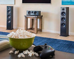 Load image into Gallery viewer, Polk Audio t50 2-way Floor Standing Speaker (pair) Polk Audio