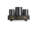 Load image into Gallery viewer, MasterSound Compact 300B Integrated Tube Amplifier Master Sound