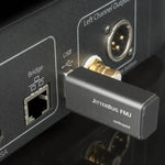 Load image into Gallery viewer, AudioQuest JitterBug FMJ AudioQuest