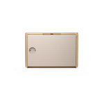 Load image into Gallery viewer, Bang & Olufsen Beosound Level - Portable WiFi Speaker