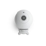 Load image into Gallery viewer, DEVIALET GECKO - PHANTOM II Devialet