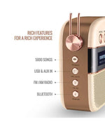 Load image into Gallery viewer, Saregama Carvaan Gold Portable Digital Music Player Saregama