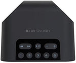 Load image into Gallery viewer, Bluesound Pulse Flex 2i Portable Wireless Music Streaming Speaker