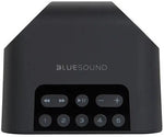 Load image into Gallery viewer, Bluesound Pulse Flex 2i Portable Wireless Music Streaming Speaker bluesound