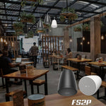 Load image into Gallery viewer, Bose Freespace Fs2p Pendant In-ceiling Mount Speaker (pair)