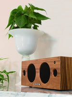 Load image into Gallery viewer, Sonodyne Bandish -stereo Wireless Bluetooth Music System Sonodyne