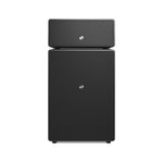 Load image into Gallery viewer, Audio Pro Drumfire II - Multiroom Speaker
