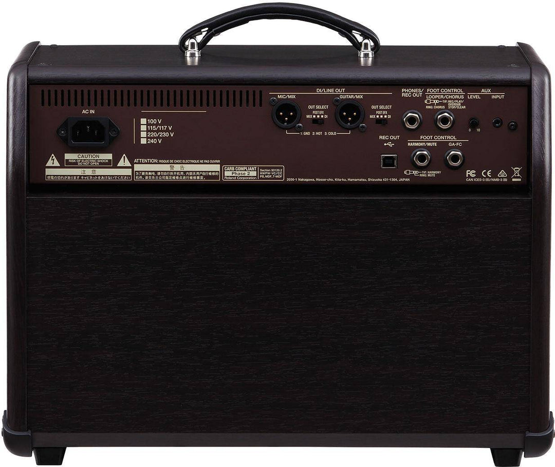 Boss Acoustic Singer Pro Acoustic Amplifier