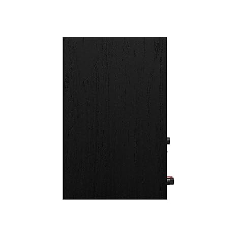 R-40PM POWERED SPEAKERS