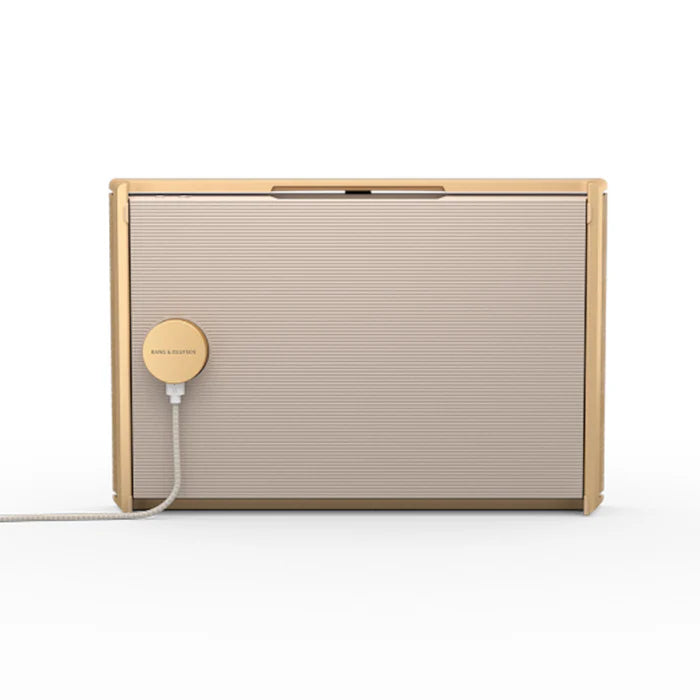 Bang & Olufsen Beosound Level - Portable WiFi Speaker