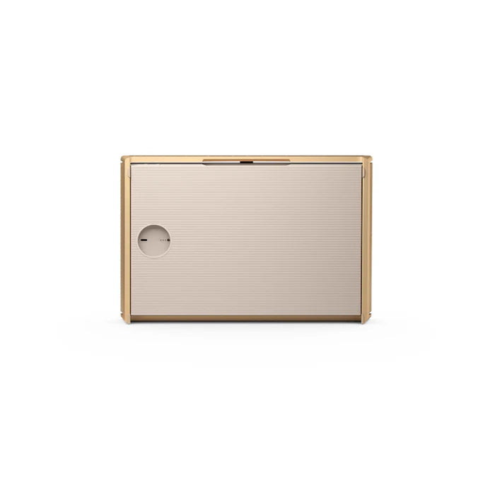 Bang & Olufsen Beosound Level - Portable WiFi Speaker