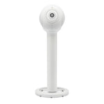 Load image into Gallery viewer, TREE - PHANTOM I