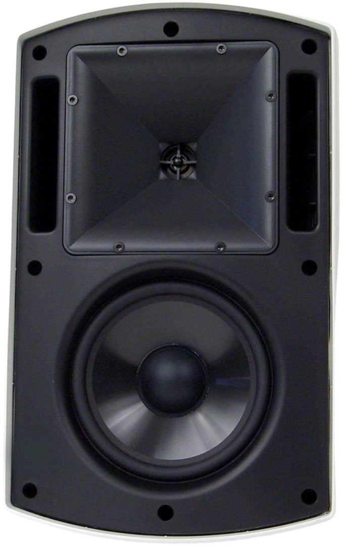 Klipsch AW-650 Outdoor Speaker