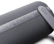 Loewe We Hear 2 Portable Bluetooth Speaker