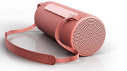 Loewe We Hear 1 Portable Bluetooth Speaker