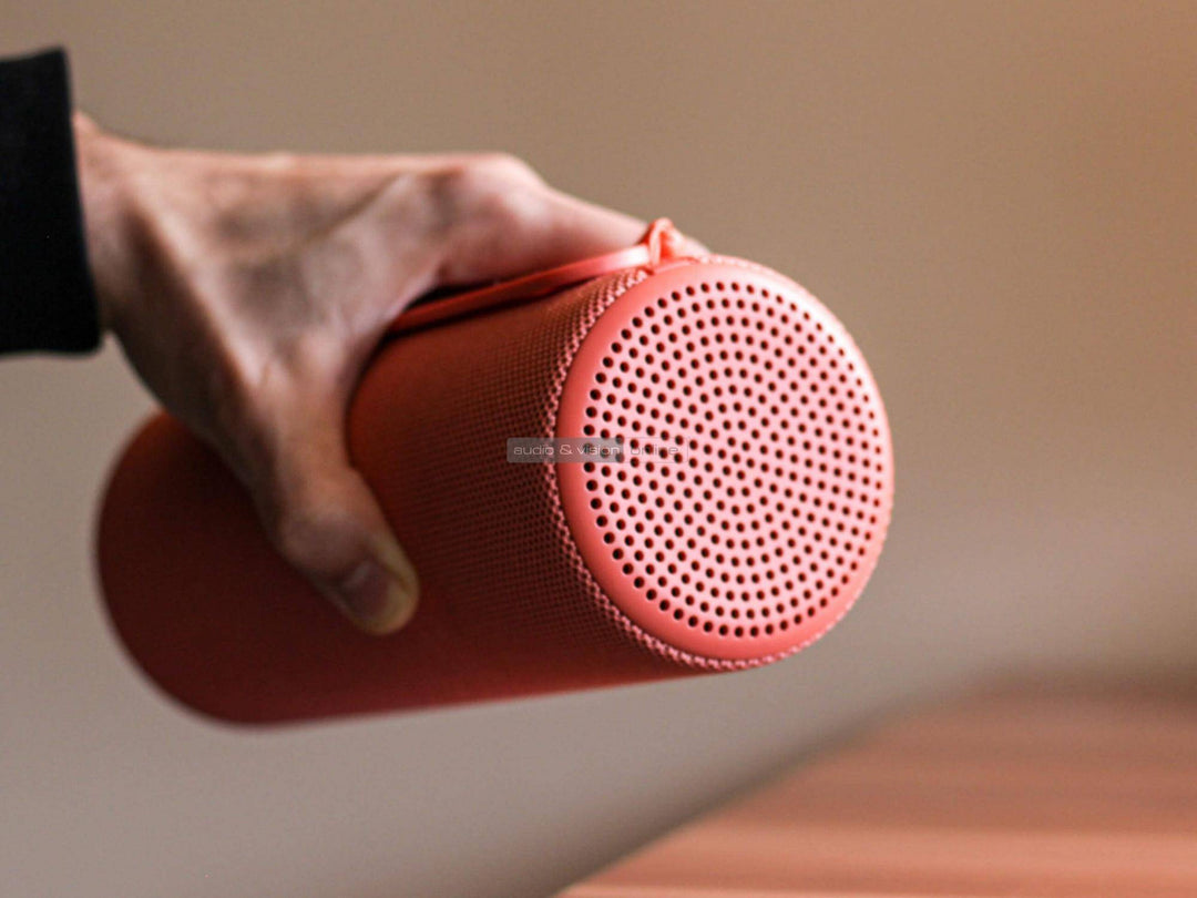 Loewe We Hear 1 Portable Bluetooth Speaker