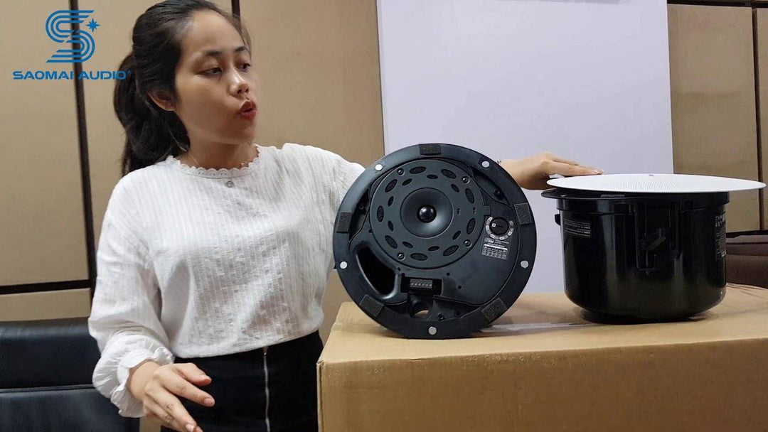 Bose Dm5c Design Max In-ceiling Speaker